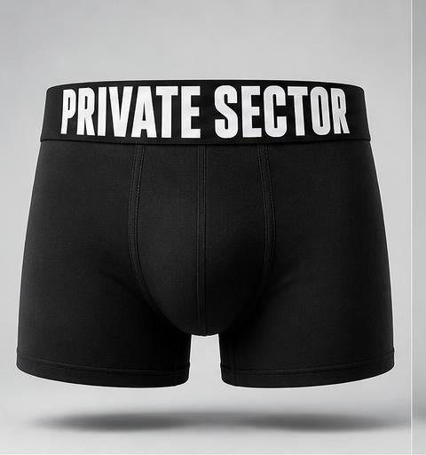 PRIVATE SECTOR — black front view